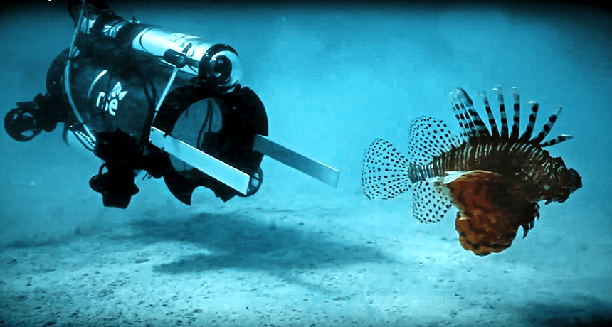Robot captures invasive lionfishes that threaten coral reefs