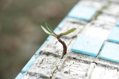 Perspectivas sobre el sentido de la vida