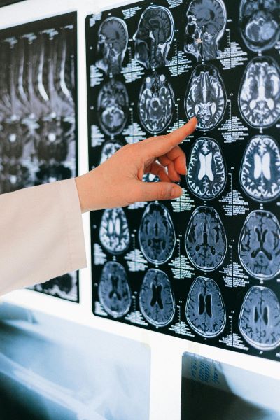 Cómo el cerebro crea&nbsp;emociones